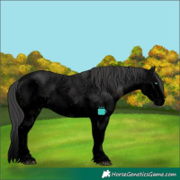 Horse Color:Void Black Ice Splash Tobiano Rabicano