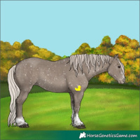 Horse Color:Silver Grullo Sabino Tobiano Snowflake Varnish Rabicano