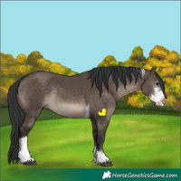 Horse Color:Brown Dun Sabino Tobiano Rabicano
