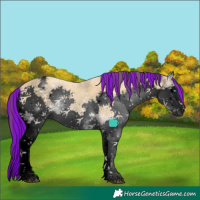 Horse Color:Gray Void Painted Buckskin Onyx Splash Varnish 