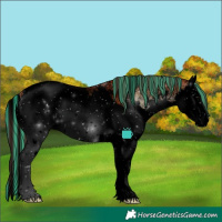 Horse Color:Void Painted Bay Ice Onyx Sabino Splash Appaloosa