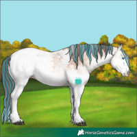 Horse Color:Painted White Spotted Bay Onyx Splash Snowcap 