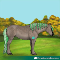 Horse Color:Void Painted Silver Black Splash Rabicano 