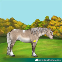 Horse Color:Silver Brown Dun Sabino Tobiano Varnish Rabicano