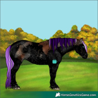Horse Color:Void Painted Silver Bay Ice Onyx Splash Tobiano Rabicano 