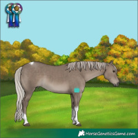 Horse Color:Silver Grullo Sabino Tobiano Rabicano