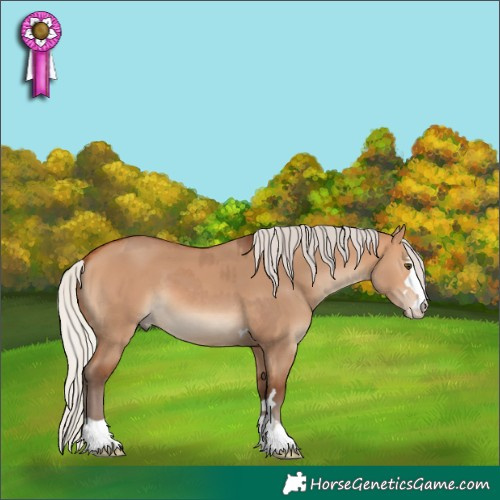 Horse Color:Silver Bay Dun  and Silver Bay Dun 