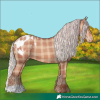Horse Color:Plaid Silver Sable Champagne Appaloosa