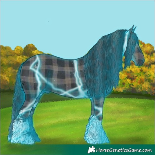 Horse Color:Thunderstruck Plaid  Black 
