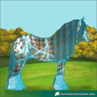Horse Color:Thunderstruck Plaid Bay Appaloosa