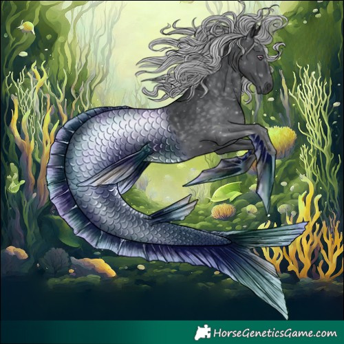 Horse Color:Silver Black Chinchilla