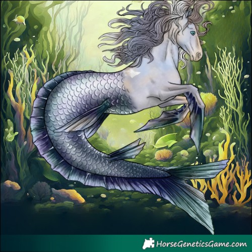 Horse Color:Black Snowdrop Sabino Tobiano