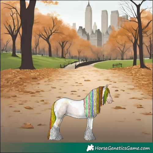 Horse Color:Gray Painted Gold Champagne Ice Roan Dun Tobiano Rabicano 