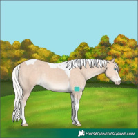 Horse Color:Silver Perlino Tobiano 