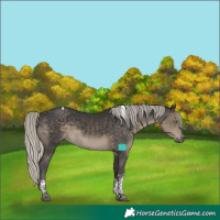 Horse Color:Silver Smoky Black Tobiano 