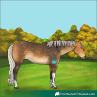 Horse Color:Silver Buckskin Tobiano 