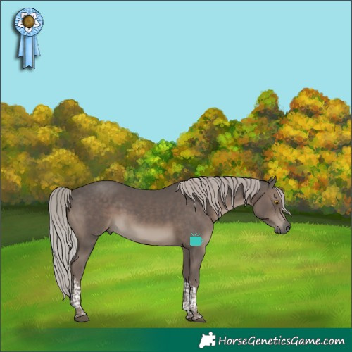 Horse Color:Silver Black Tobiano