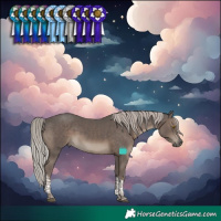 Horse Color:Silver Black Tobiano