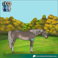 Horse Color:Silver Black Tobiano