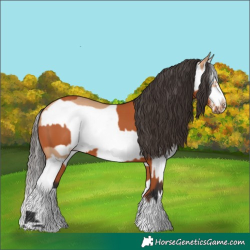 Horse Color:Bay Splash Frame  and Bay Dun Splash Frame 