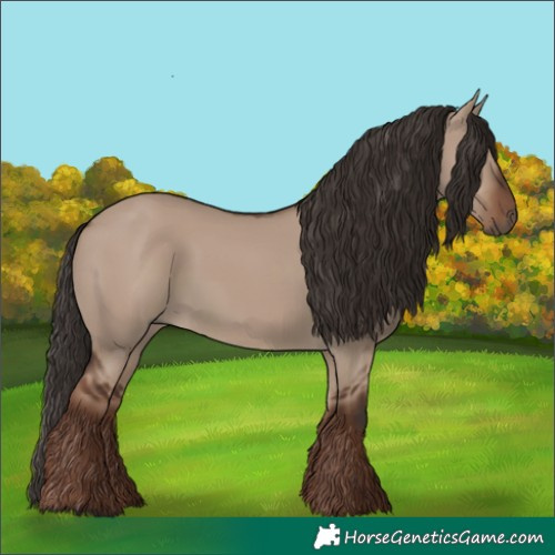 Horse Color:Liver Red Dun 