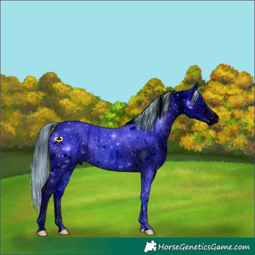 Horse Color:ERROR: UNKNOWN ANOMALY