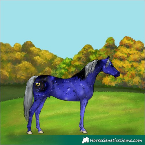 Horse Color:ERROR: UNKNOWN ANOMALY