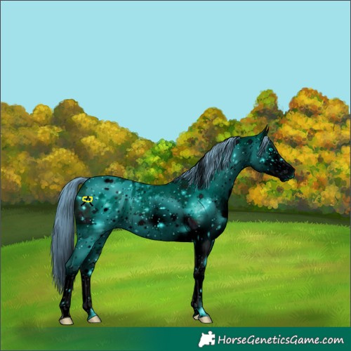Horse Color:ERROR: UNKNOWN ANOMALY