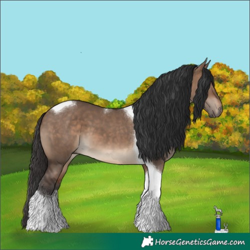 Horse Color:Brown Dun Tobiano 