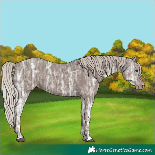 Horse Color:Silver Black Ice Sabino Varnish Rabicano 