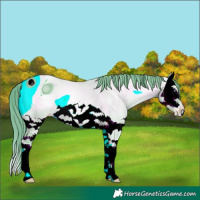 Horse Color:ERROR: UNKNOWN ANOMALY