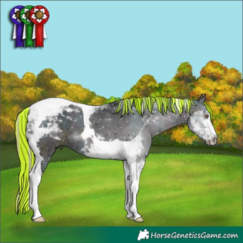 Horse Color:Painted Watercolor Midnight Bay Chinchilla Ice Onyx Tobiano 