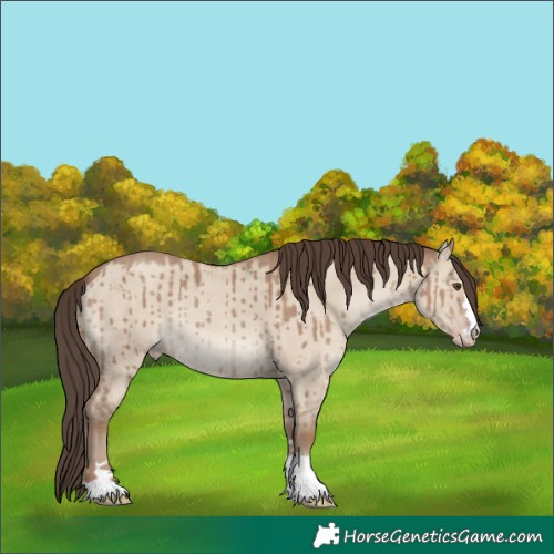 Horse Color:Classic Champagne Dun Brindle
