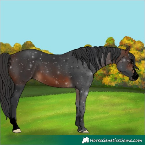 Horse Color:Void Brown