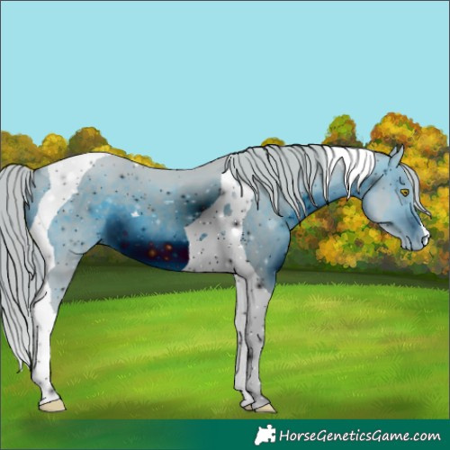 Horse Color:ERROR: UNKNOWN ANOMALY