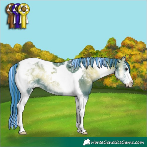 Horse Color:Painted Watercolor Blue Onyx Chinchilla Sabino Tobiano 