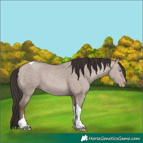 Horse Color:Sable Champagne Dun Mushroom Tobiano 