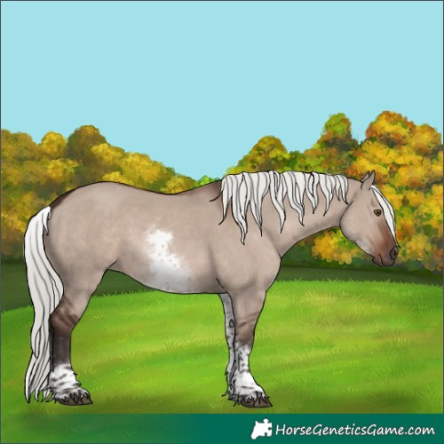Horse Color:White Spotted Liver Red Dun Mushroom Rabicano 