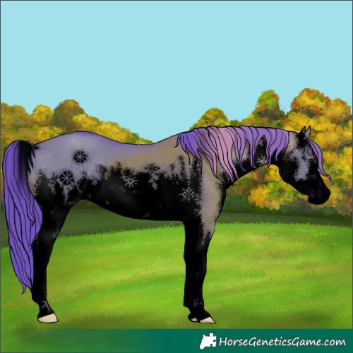 Horse Color:Void Platinum Watercolor White Spotted Grullo