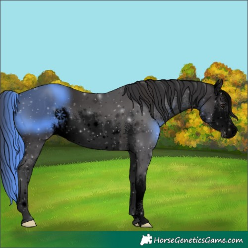 Horse Color:Void White Spotted Smoky Black 