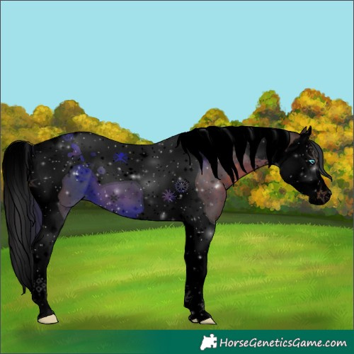 Horse Color:Void Brown Splash Tobiano