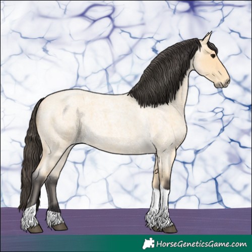 Horse Color:Buckskin Roan Tobiano 