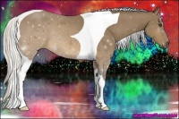 Horse Color:Silver Buckskin Tobiano 