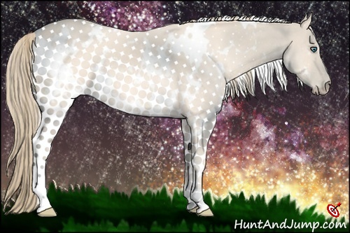 Horse Color:White Spotted Perlino 