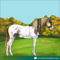 Horse Color:Painted White Spotted Blue Onyx Tobiano