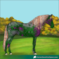 Horse Color:ERROR: UNKNOWN ANOMALY