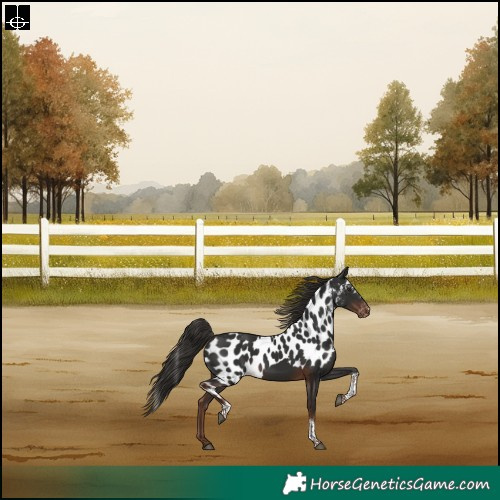 Horse Color:Liver Chestnut Tobiano Skewed LP Spotted Rabicano