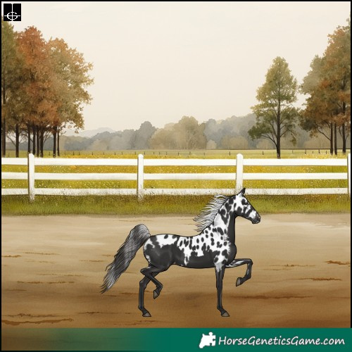 Horse Color:Liver Chestnut Skewed LP Spotted Rabicano