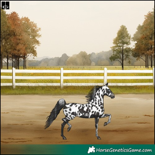 Horse Color:Liver Chestnut Tobiano Frame Skewed LP Spotted Rabicano 
