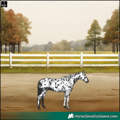 Horse Color:Liver Chestnut Skewed LP Spotted Rabicano